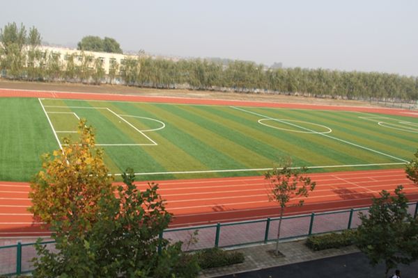 你知道标准半圆式田径场是哪样的吗